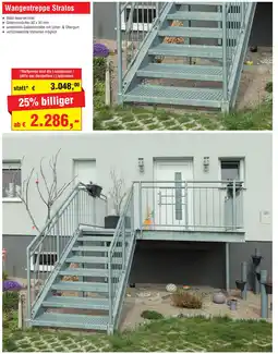 Josef Steiner Wangentreppe Stratos Angebot