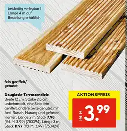 Hellweg Douglasie Terrassendiele Angebot