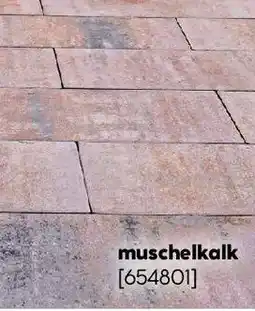 Hellweg Terrassenplatte Toscana muschelkalk Angebot