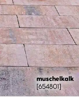 Hellweg Terrassenplatte Toscana muschelkalk Angebot