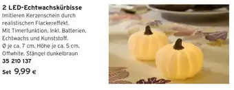 Tchibo Eduscho 2 LED-Echtwachskürbisse Angebot