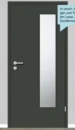 Hellweg Zimmertür Ebony CPL Tür Angebot