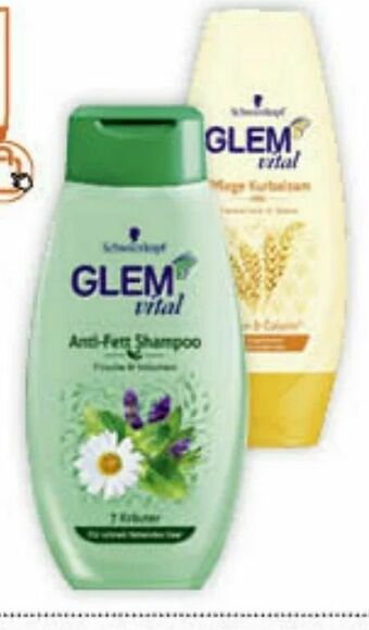 Müller Glem Vital Shampoo Angebot