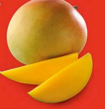Hofer Mango Angebot