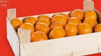 Hofer Clementinen Angebot