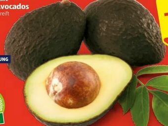 Hofer Avocados Angebot