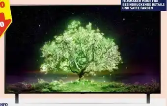 Hofer OLED TV 48A16LA Angebot