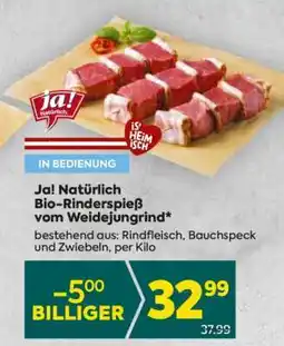 Billa Ja! Natürlich Bio-Rinderspieß vom Weidejungrind Angebot