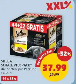 PENNY Sheba schale pluspack Angebot