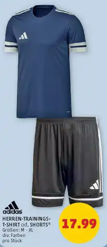 PENNY Herren trainings t-shirt od. shorts Angebot
