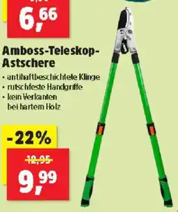 Thomas Philipps Amboss Teleskop Astschere Angebot