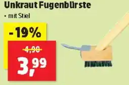 Thomas Philipps Unkraut Fugenbürste Angebot