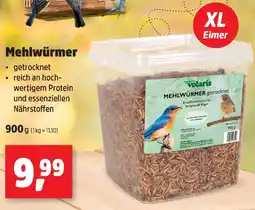 Thomas Philipps Mehlwürmer Angebot