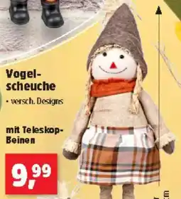 Thomas Philipps Vogel-scheuche Angebot