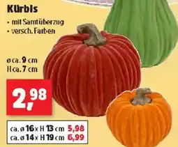 Thomas Philipps Kürbis Angebot