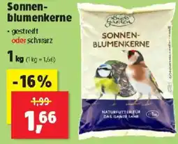 Thomas Philipps Sonnen-blumenkerne Angebot
