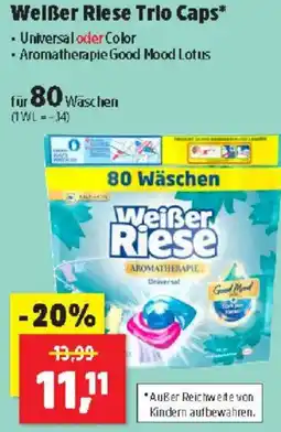 Thomas Philipps Welẞer Riese Trio Caps Angebot