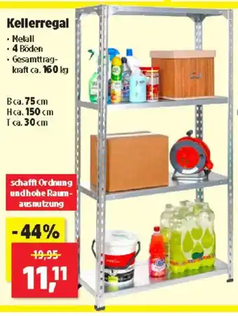 Thomas Philipps Kellerregal Angebot