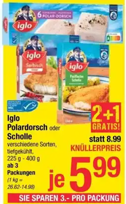 Maximarkt Iglo Polardorsch oder Scholle Angebot