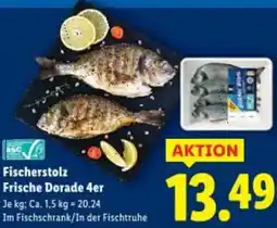 Lidl Fischerstolz Frische Dorade Angebot