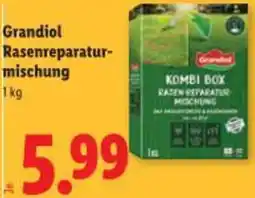 Lidl Grandiol Rasenreparatur- mischung Angebot
