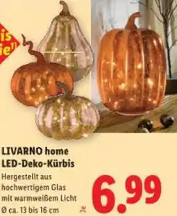 Lidl Livarno home LED-Deko-Kürbis Angebot