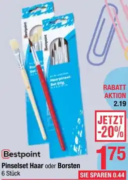 Maximarkt Bestpoint Pinselset Haar oder Borsten Angebot