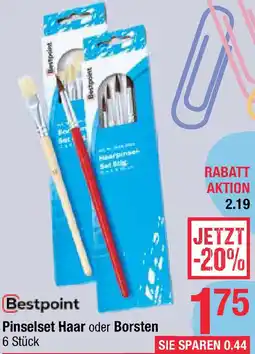 Maximarkt Bestpoint Pinselset Haar oder Borsten Angebot