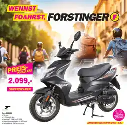 Forstinger Terra RS8000 Angebot