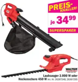 Forstinger WALTER Laubsauger 3.000 W oder Heckenschere Angebot