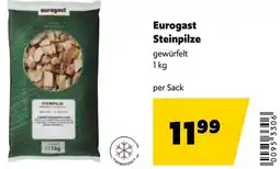 Eurogast Grissemann Eurogast Steinpilze Angebot