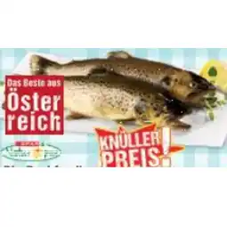 Maximarkt Bio-Bachforelle Maximarkt Angebot