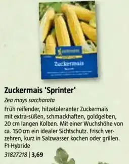 Bauhaus Zuckermais Sprinter Angebot