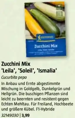 Bauhaus Zucchini Mix 'Leila', 'Soleil', 'Ismalia' Angebot
