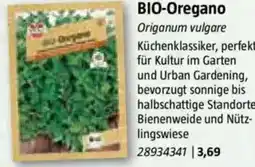 Bauhaus BIO-Oregano Angebot
