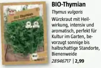 Bauhaus BIO-Thymian Angebot