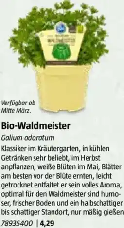 Bauhaus Bio-Waldmeister Angebot
