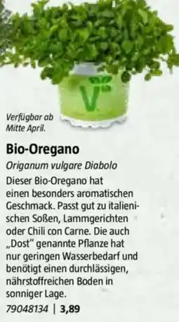 Bauhaus Bio-Oregano Angebot
