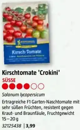 Bauhaus Kirschtomate Crokini Angebot