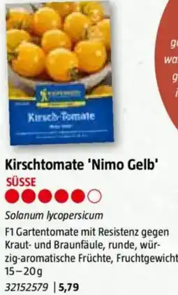 Bauhaus Kirschtomate 'Nimo Gelb Angebot
