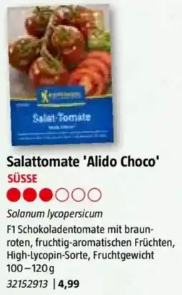 Bauhaus Salattomate 'Alido Choco Angebot