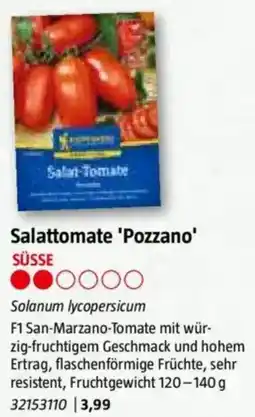 Bauhaus Salattomate 'Pozzano Angebot
