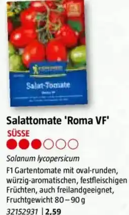 Bauhaus Salattomate 'Roma VF Angebot