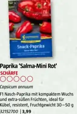 Bauhaus Paprika 'Salma-Mini Rot Angebot