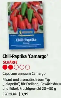 Bauhaus Chili-Paprika 'Camargo Angebot