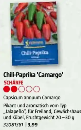 Bauhaus Chili-Paprika 'Camargo Angebot