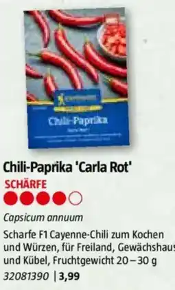 Bauhaus Chili-Paprika 'Carla Rot Angebot