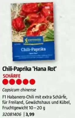 Bauhaus Chili-Paprika 'Hana Rot Angebot