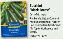 Bauhaus Zucchini 'Black Forest' Angebot