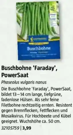Bauhaus Buschbohne 'Faraday', PowerSaat Angebot